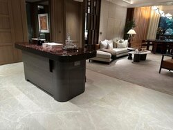 Orchard Boulevard (D10), Condominium #456230451